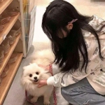 巅峰世界杯bt变态版下载